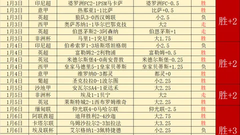 日本队现役五大联赛球员超15人，创历史新高，是2025年两倍