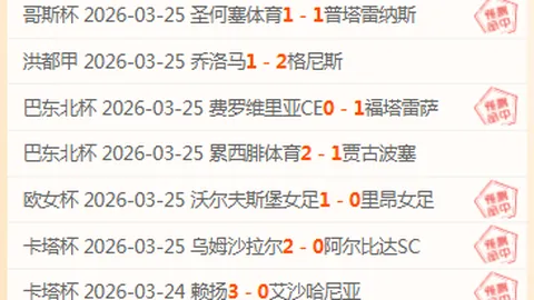 孤胆英雄对决布鲁克林雄师：深度剖析，共赴胜途巅峰！